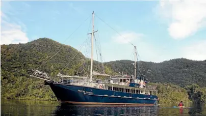  ?? PHOTOS: PAM WADE ?? The Milford Wanderer ran aground during low tide on one of Stewart Island’s many uncharted rocks.