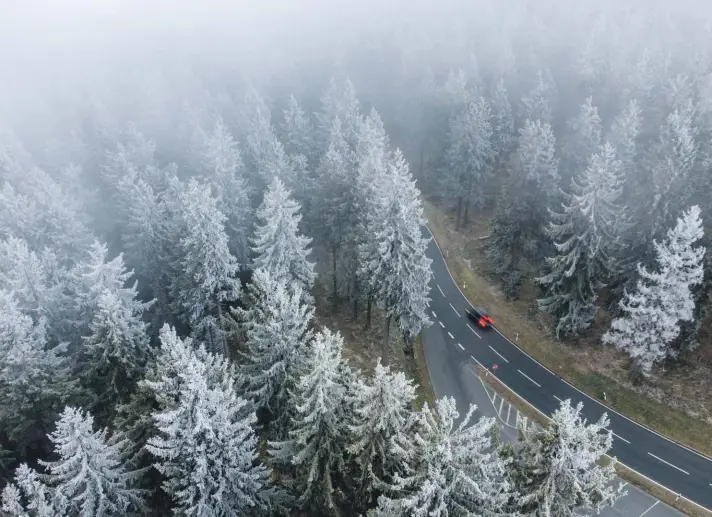  ??  ?? Frozen fog covers the trees in the Taunus region near Frankfurt, Germany, on a cold Sunday. Photo: AP