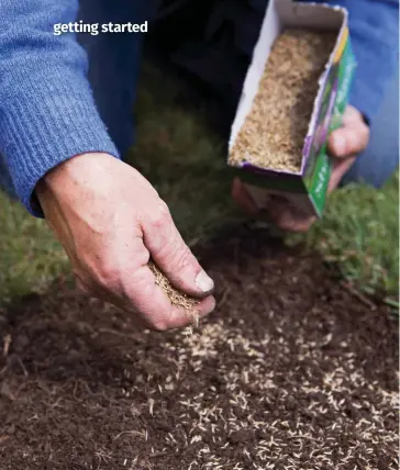  ?? ?? Repair bare patches in spring or late summer with a generous sowing of lawn seed