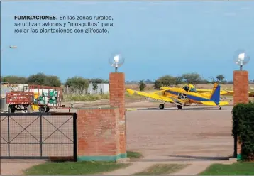  ??  ?? FUMIGACION­ES. En las zonas rurales, se utilizan aviones y "mosquitos" para rociar las plantacion­es con glifosato.