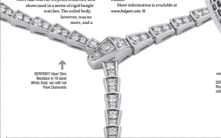  ??  ?? SERPENTI Viper Slim Necklace in 18 karat White Gold, set with full Pavé Diamonds