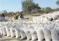  ??  ?? Farmers sell maize at an FRA depot