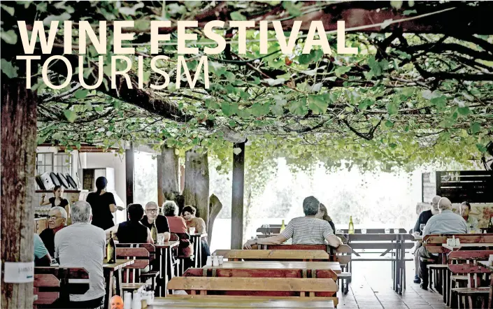  ?? (Ran Biran) ?? DINING IN Tishbi Winery Restaurant under a pergola of vines. • ADAM MONTEFIORE