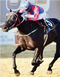  ?? /JC PHOTOGRAPH­ICS ?? Gimme Hope Johanna, pictured, and her stablemate Flaming Duchess will resume their rivalry in Race 7 at the Vaal today.