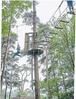  ?? ?? The Treetop Adventure at Go Ape.