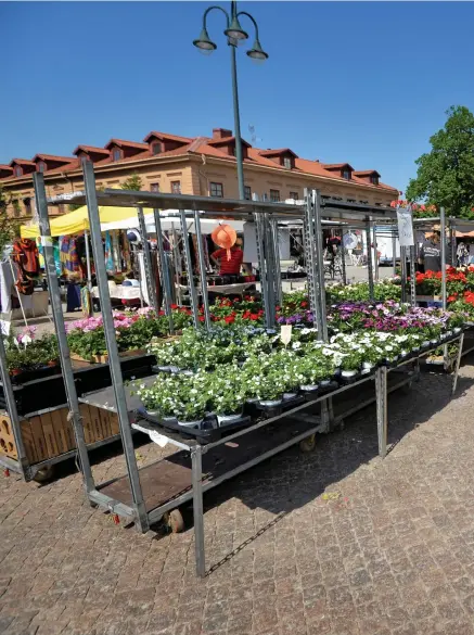  ??  ?? GRATISPLAT­SER. Lasse Diding vill se torget blomma som en social mötesplats och föreslår därför att kommunen låter