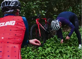  ??  ?? ABOVE A quick break to forage for wild garlic to make pesto post-ride