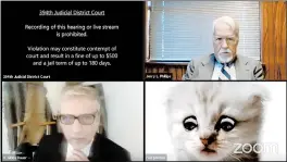  ?? TEXAS DEPARTMENT OF CRIMINAL JUSTICE ?? This image from video shows a hearing from the 394th Judicial District Court of Texas. The hearing took a detour when an attorney showed up looking like a kitten.