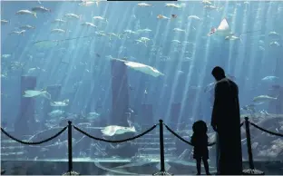  ?? |
Reuters ?? A MAN and his daughter admire the aquarium in the Atlantis The Palm hotel in Dubai, UAE, this week, as the country reopens to tourism amid the Covid-19 pandemic.