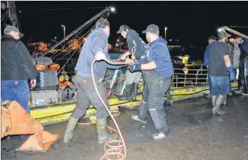  ?? KATHY JOHNSON PHOTO ?? Fishermen haul back rope from the sunken vessel at the Lower East Pubnico wharf on Nov. 28, after the vessel sank during the late afternoon.