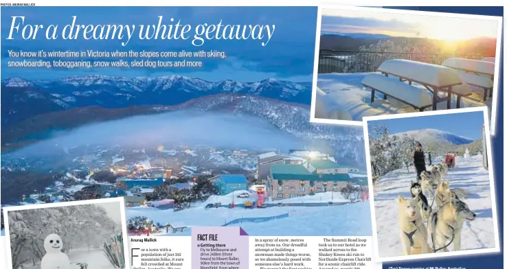  ?? PHOTOS: ANURAG MALLICK ?? (Top) Snowy sunrise at Mt Buller; Australian Sled Dog Tour (above)