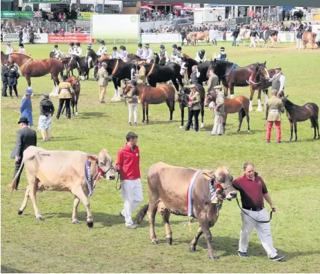  ??  ?? > The grand parade of prize winning livestock in the main ring