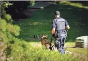  ?? Ben hendren ?? Cobb Police and a K-9 officer search for a suspect near the Kennesaw campus of Kennesaw State University on Thursday afternoon.