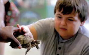  ?? Arkansas Democrat-Gazette/MITCHELL PE MASILUN ?? Austin Hamilton of Bryant meets a turtle at the Witt Stephens Jr. Central Arkansas Nature Center. With resident fish and other wildlife, programs, tours and workshops, the center encourages Arkansans of all ages to “find their outside.”