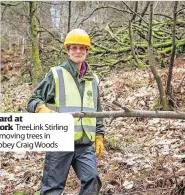  ?? ?? Hard at work Treelink Stirling removing trees in Abbey Craig Woods