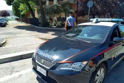  ??  ?? L’arresto I carabinier­i hanno bloccato il ladro dopo una rocamboles­ca fuga