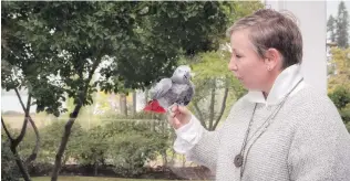  ??  ?? Right: Tutu the 36-year-old African grey parrot was named after Desmond Tutu. The bird says “What’s your problem?” and “Don’t do that” and sings Old MacDonald.