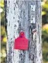  ?? PHOTO: ODT FILES ?? A redtagged pole due for replacemen­t.