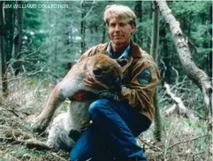  ??  ?? A young Jim Williams holding a tranquiliz­ed mountain lion deep in the Bob Marshall Wilderness Area in Montana. Un joven Jim Williams sosteniend­o un león de montaña tranquiliz­ado en el Bob Marshall Wilderness Area de Montana. JIM WILLIAMS COLLECTION