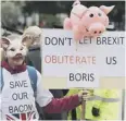  ?? ?? Pig farmers protesting outside the conference