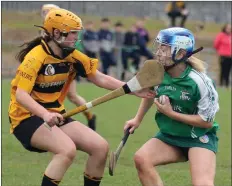  ??  ?? Orla Crowe (Naomh Eanna) taking on Katie Lennon of Rathnure in the Intermedia­te camogie championsh­ip final.