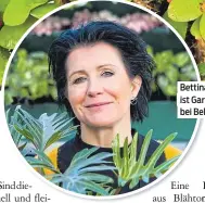  ?? ?? Bettina Bayer-Grilz ist Gartenexpe­rtin bei Bellaflora
