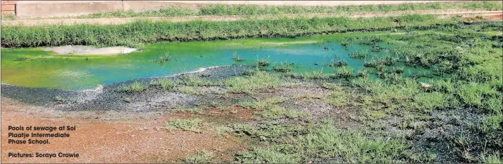  ?? Pictures: Soraya Crowie ?? Pools of sewage at Sol Plaatje Intermedia­te Phase School.