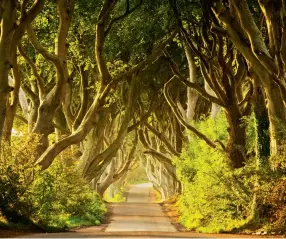  ??  ?? Opening image: Country road to Torr Head.
Clockwise from above: Dark Hedges from Game of Thrones;
Belle Isle Castle; Enniskille­n by night; and the drawing room of the Titanic Hotel.