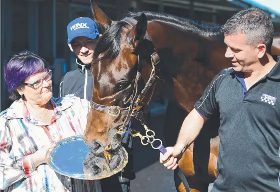  ?? Picture: AAP IMAGE ?? Winx checks out the spoils of victory yesterday watched by part-owner Debbie Kepitis (left) and stable staff Ben Caddie and Umut Odemisliog­lu.