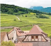  ??  ?? Picturesqu­e rolling hill vineyards of Alsace — Ti Gong