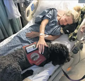  ?? Nicole Rapp ?? DIANA LITZENBERG of Lake Forest visits with a hospital therapy dog. She was among the concertgoe­rs injured during the Las Vegas rampage. Since then, “she’s a whole different person,” her daughter says.