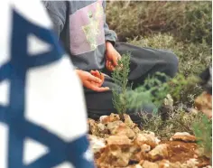  ?? (Reuters) ?? A BOY looks at a newly planted tree that, like Israel has grown, will thrive and put down roots in the soil.