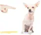  ?? DREAMSTIME ?? It takes time — and lots of incrementa­l steps — to train a dog to undo a habit he has always done and to learn something new, writes Cathy M. Rosenthal.