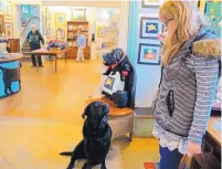  ?? LISA RATHKE/ASSOCIATED PRESS ?? Deanne Blueter of Hyde Park, Vt., visits with Sally, a black Lab in Dog Mountain’s Stephen Huneck Gallery. Sally had belonged to the pet haven’s owners, who have since died.