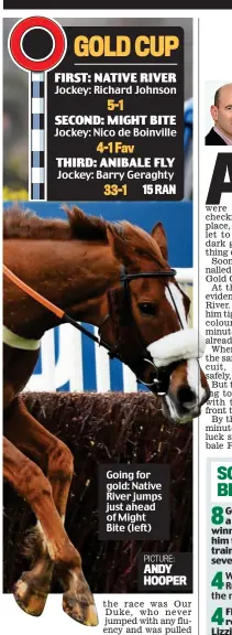  ?? PICTURE: ANDY HOOPER ?? Going for gold: Native River jumps just ahead of Might Bite (left)