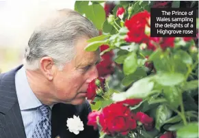  ??  ?? The Prince of Wales sampling the delights of a Highgrove rose