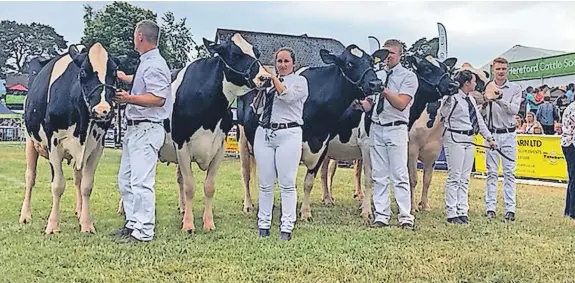  ?? ?? Holstein Young Handlers and below, a British White bill. Bottom left, the overall Holstein champion