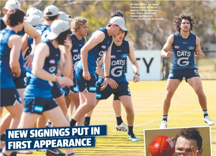  ?? Pictures: ALISON WYND, DYLAN BURNS ?? UP AND FIRING: Cat Nakia Cockatoo leads the line at Geelong training yesterday, while Patrick Dangerfiel­d (below) also featured.