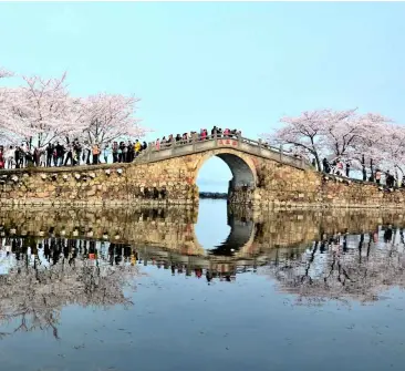  ?? CFP ?? Cerezos florecient­es en la zona pintoresca de Yuantouzhu del Lago Taihu.