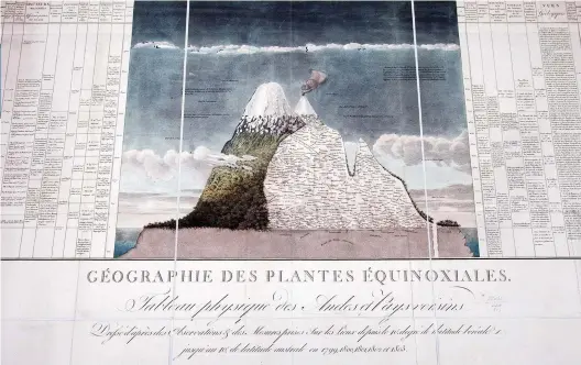  ??  ?? Humboldt’s diagram of Chimborazo, including details of the plants at each level. The scientist’s ascent of the mountain
was, says Andrea Wulf, the moment when he “understood that nature is a global force”