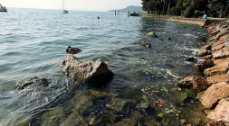  ??  ?? La salute del lago A rischio senza il nuovo collettore fognario