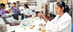  ??  ?? One of the Soil Science undergradu­ates tests the Rice Straw Fertilizer in the lab while at far left Prof. Rajapakse discusses the issues with the two NSF Scientific Officers