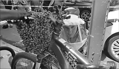  ?? Associated Press ?? Detective Daniel Higgins begins the process of removing bees enveloping the front of a bicycle on Aug. 4, 2014, in New York's midtown Manhattan neighborho­od.