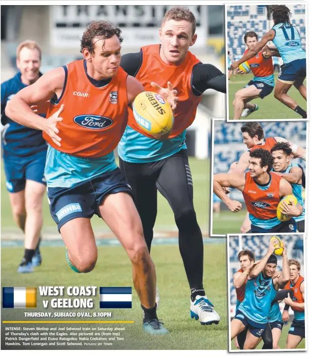  ?? Pictures: JAY TOWN ?? INTENSE: Steven Motlop and Joel Selwood train on Saturday ahead of Thursday’s clash with the Eagles. Also pictured are (from top) Patrick Dangerfiel­d and Esava Ratugolea; Nakia Cockatoo; and Tom Hawkins, Tom Lonergan and Scott Selwood.