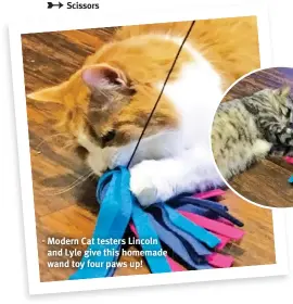  ?? ?? Modern Cat testers Lincoln and Lyle give this homemade wand toy four paws up!