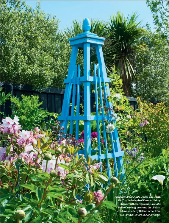 Christchurch's Stoneycrop - PressReader