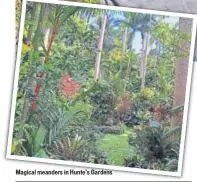  ??  ?? Magical meanders in Hunte’s Gardens