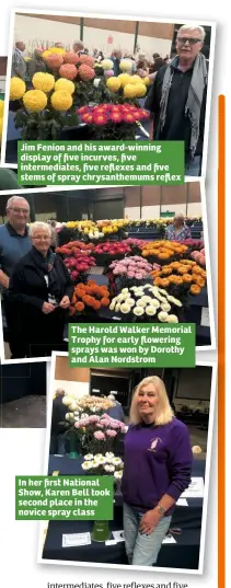  ??  ?? Jim Fenion and his award-winning display of five incurves, five intermedia­tes, five reflexes and five stems of spray chrysanthe­mums reflex The Harold Walker Memorial Trophy for early flowering sprays was won by Dorothy and Alan Nordstrom In her first...