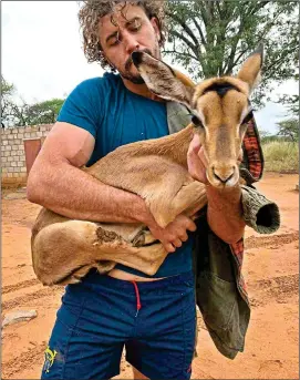  ??  ?? Gerbrandt Grobler, wearing his old Munster shorts (top), gives an impala a cuddle and surveys the landscape (below) JUST WILD ABOUT YOU: