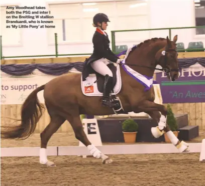  ??  ?? Bishop Burton Winter Regional Championsh­ips, East Yorks Amy Woodhead takes both the PSG and inter I on the Breitling W stallion Branduardi, who is known as ‘My Little Pony’ at home